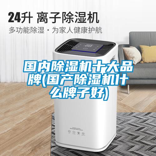 國內(nèi)除濕機十大品牌(國產(chǎn)除濕機什么牌子好)