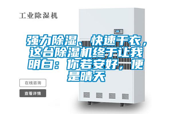 強(qiáng)力除濕、快速干衣，這臺(tái)除濕機(jī)終于讓我明白：你若安好，便是晴天