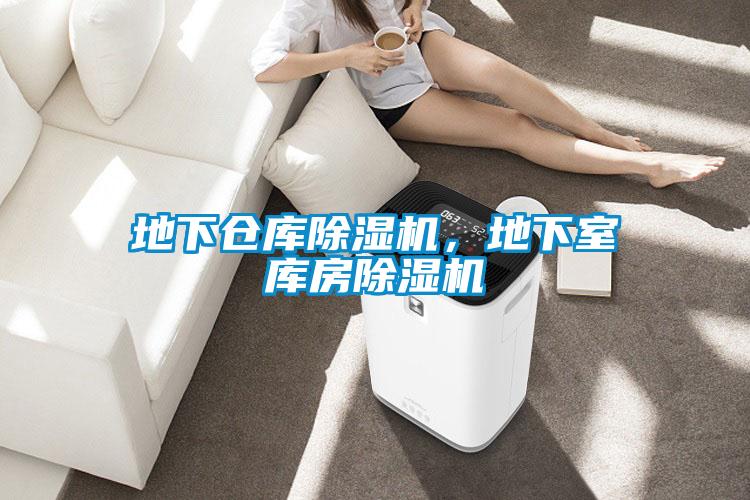 地下倉(cāng)庫(kù)除濕機(jī)，地下室?guī)旆砍凉駲C(jī)