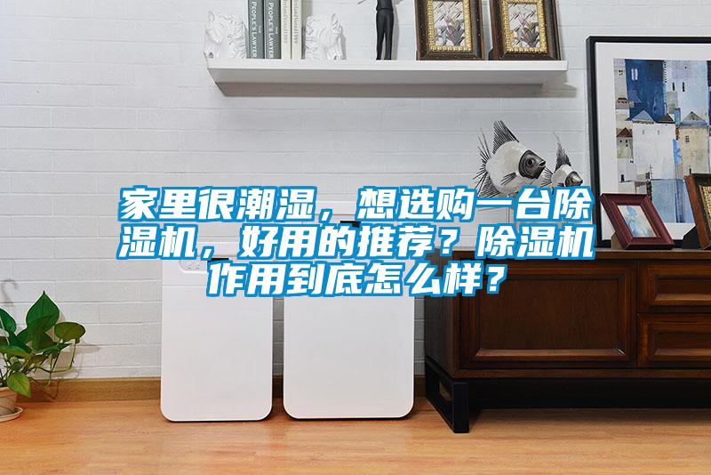 家里很潮濕，想選購一臺(tái)除濕機(jī)，好用的推薦？除濕機(jī)作用到底怎么樣？