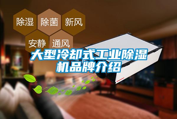 大型冷卻式工業(yè)除濕機(jī)品牌介紹