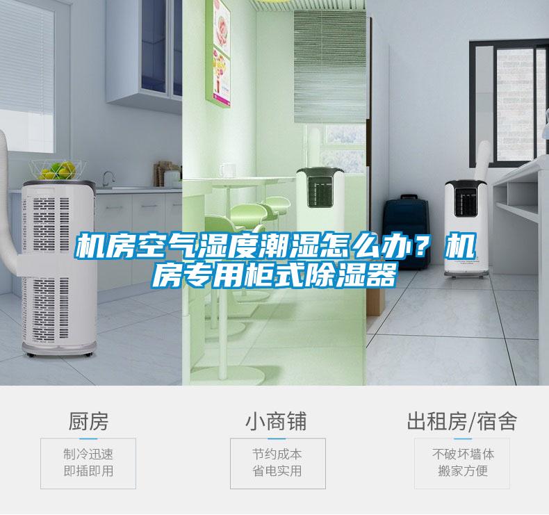 機房空氣濕度潮濕怎么辦？機房專用柜式除濕器