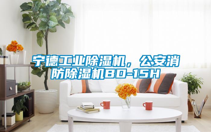寧德工業除濕機，公安消防除濕機BD-15H