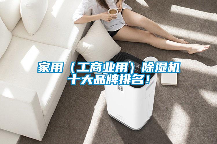 家用（工商業(yè)用）除濕機十大品牌排名！