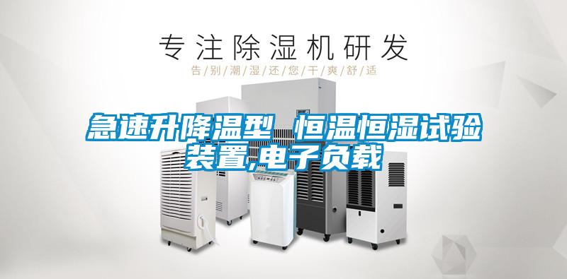 急速升降溫型 恒溫恒濕試驗裝置,電子負(fù)載