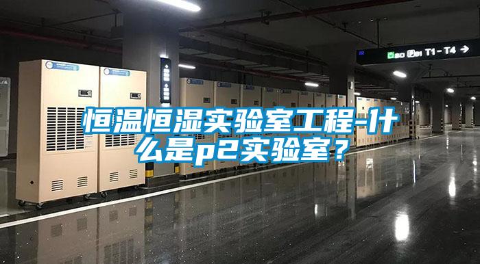 恒溫恒濕實驗室工程-什么是p2實驗室？
