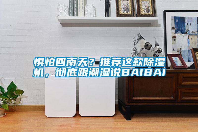 懼怕回南天？推薦這款除濕機，徹底跟潮濕說BAIBAI