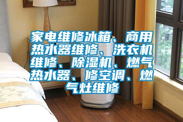家電維修冰箱、商用熱水器維修、洗衣機(jī)維修、除濕機(jī)、燃?xì)鉄崴鳌⑿蘅照{(diào)、燃?xì)庠罹S修