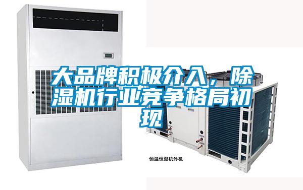 大品牌積極介入，除濕機行業競爭格局初現