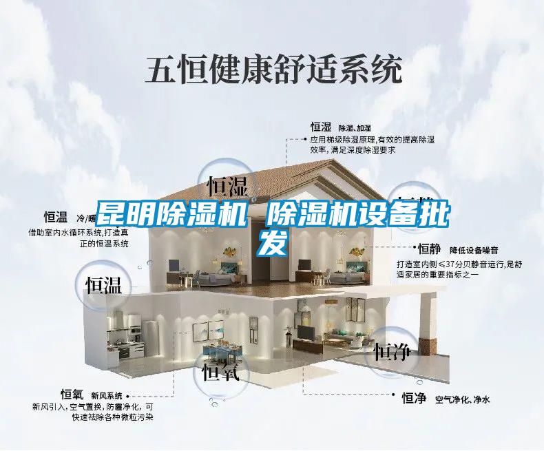 昆明除濕機 除濕機設(shè)備批發(fā)