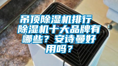 吊頂除濕機排行 除濕機十大品牌有哪些？安詩曼好用嗎？