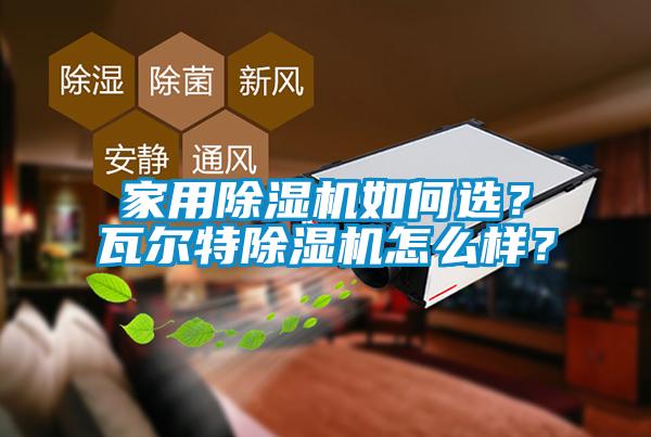 家用除濕機如何選？瓦爾特除濕機怎么樣？
