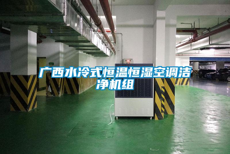 廣西水冷式恒溫恒濕空調(diào)潔凈機組