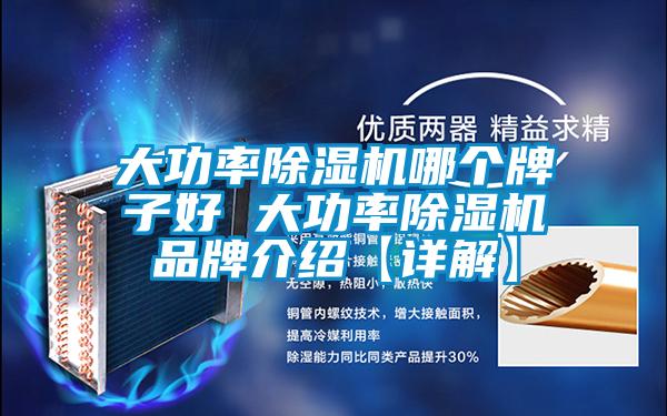 大功率除濕機(jī)哪個(gè)牌子好 大功率除濕機(jī)品牌介紹【詳解】