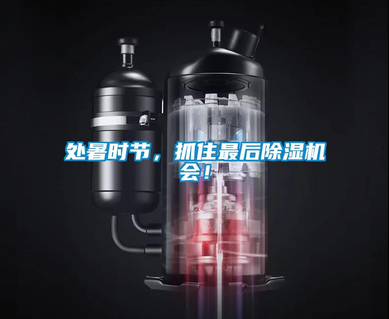 處暑時(shí)節(jié)，抓住最后除濕機(jī)會(huì)！