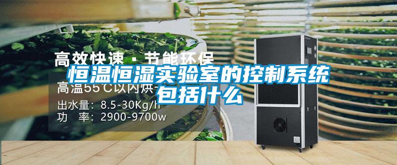 恒溫恒濕實驗室的控制系統(tǒng)包括什么