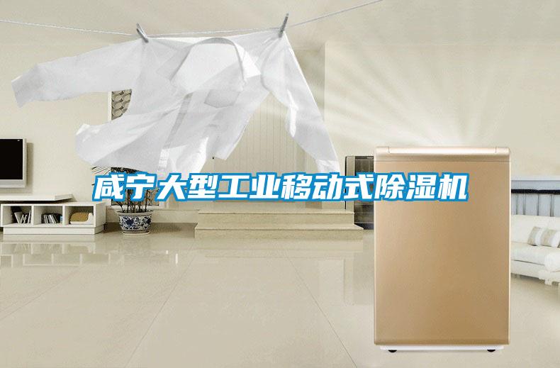 咸寧大型工業(yè)移動式除濕機