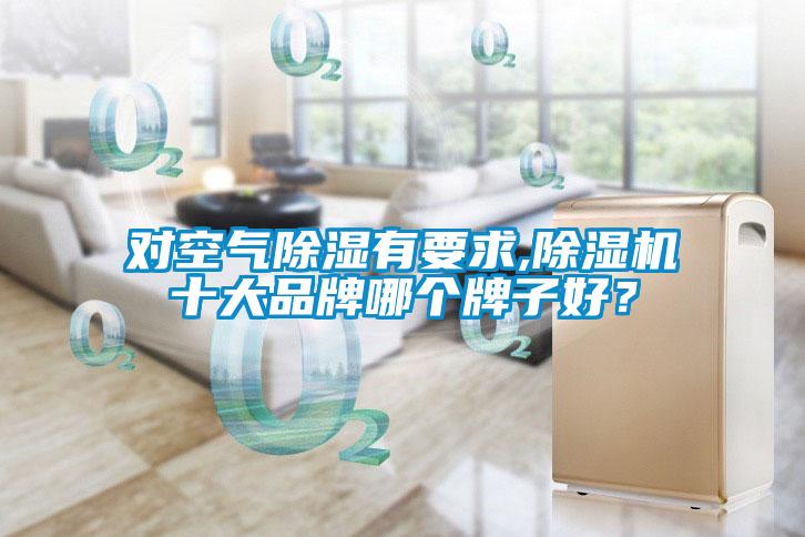 對空氣除濕有要求,除濕機十大品牌哪個牌子好？