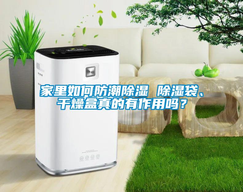 家里如何防潮除濕 除濕袋、干燥盒真的有作用嗎？