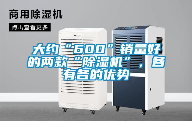 大約“600”銷量好的兩款“除濕機”，各有各的優勢