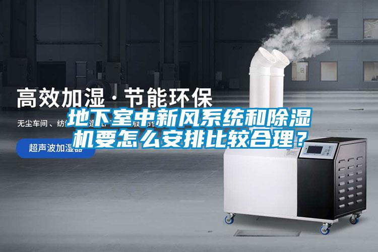 地下室中新風系統和除濕機要怎么安排比較合理？