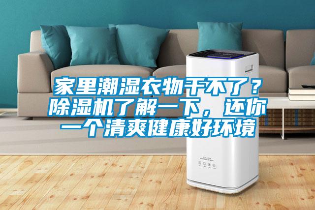 家里潮濕衣物干不了？除濕機了解一下，還你一個清爽健康好環境