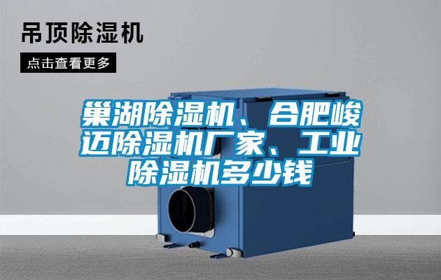 巢湖除濕機、合肥峻邁除濕機廠家、工業(yè)除濕機多少錢