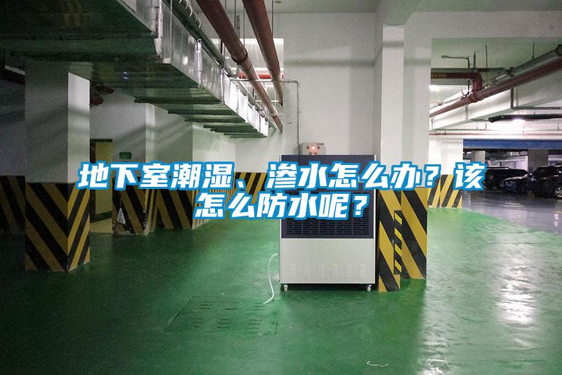 地下室潮濕、滲水怎么辦？該怎么防水呢？