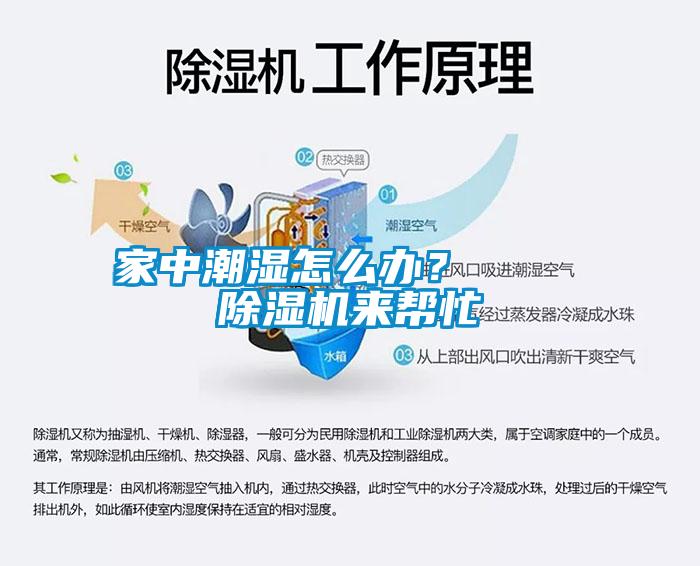 家中潮濕怎么辦？    除濕機(jī)來(lái)幫忙