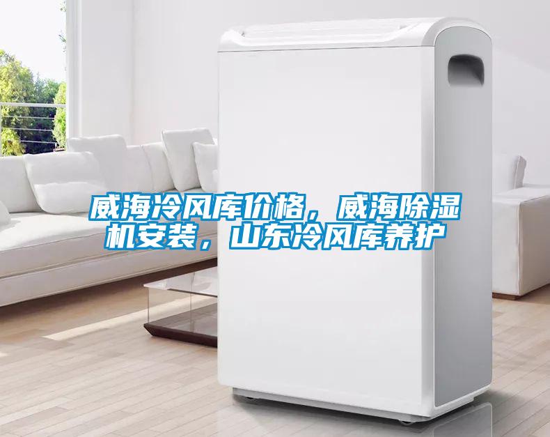 威海冷風(fēng)庫價(jià)格，威海除濕機(jī)安裝，山東冷風(fēng)庫養(yǎng)護(hù)