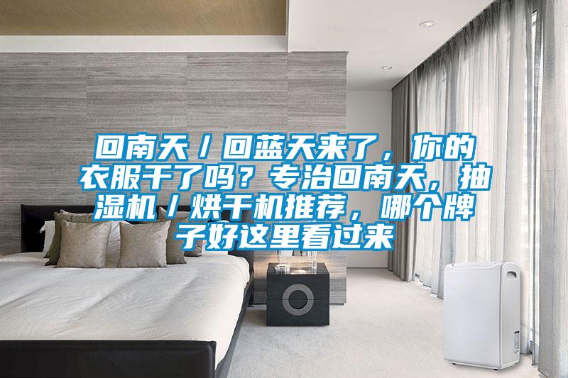 回南天／回藍天來了，你的衣服干了嗎？專治回南天，抽濕機／烘干機推薦，哪個牌子好這里看過來
