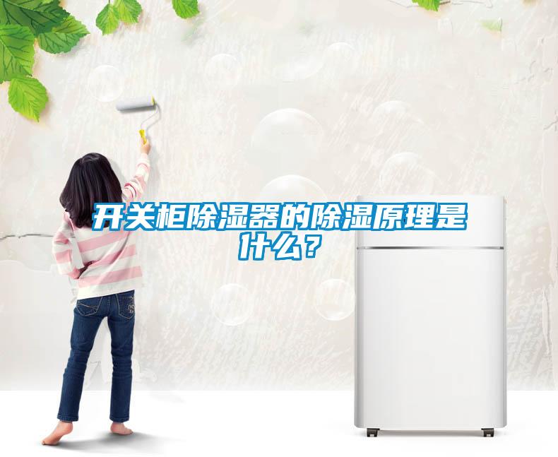 開關柜除濕器的除濕原理是什么？