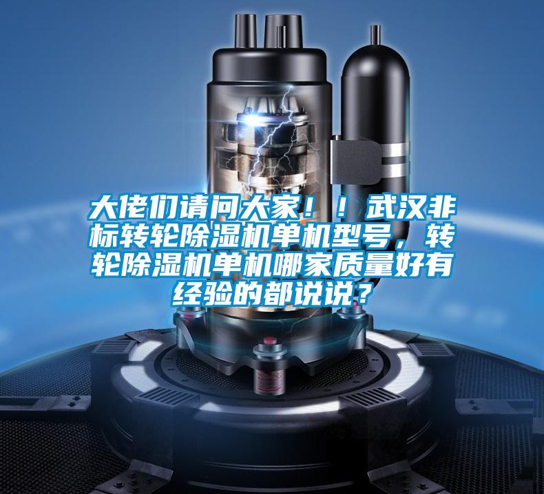 大佬們請問大家！！武漢非標(biāo)轉(zhuǎn)輪除濕機單機型號，轉(zhuǎn)輪除濕機單機哪家質(zhì)量好有經(jīng)驗的都說說？