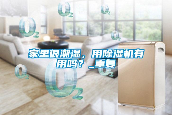 家里很潮濕，用除濕機有用嗎？_重復