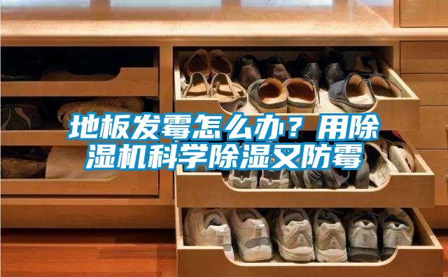 地板發(fā)霉怎么辦？用除濕機(jī)科學(xué)除濕又防霉