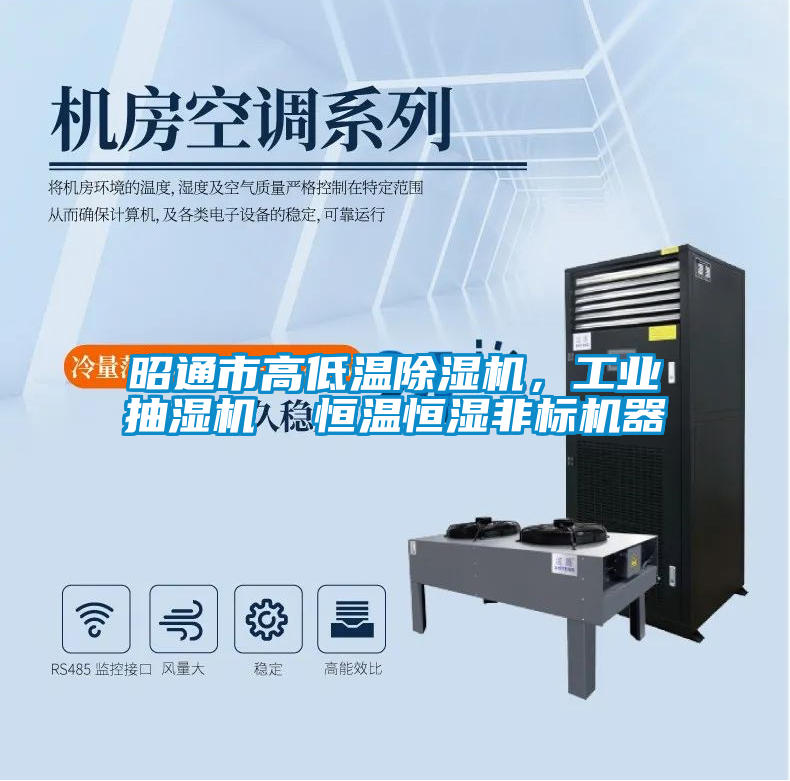 昭通市高低溫除濕機，工業抽濕機  恒溫恒濕非標機器