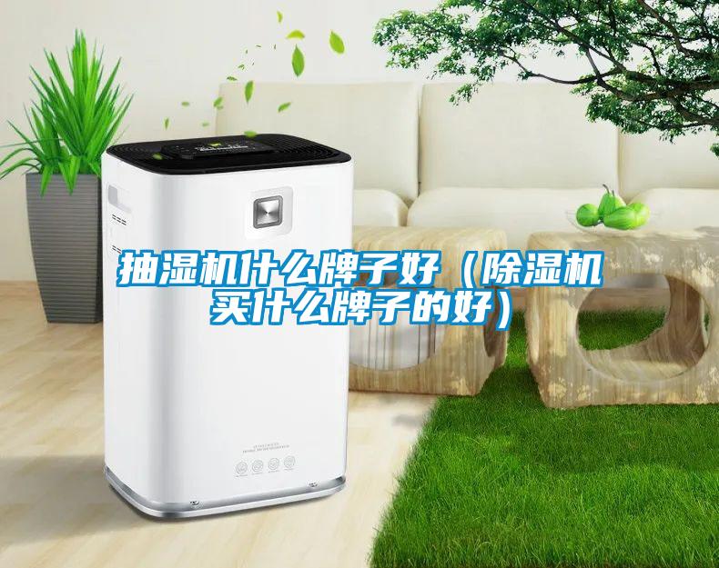 抽濕機(jī)什么牌子好（除濕機(jī)買什么牌子的好）