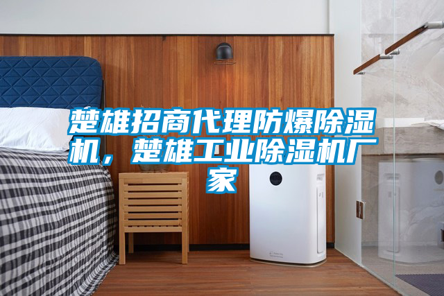 楚雄招商代理防爆除濕機(jī)，楚雄工業(yè)除濕機(jī)廠家
