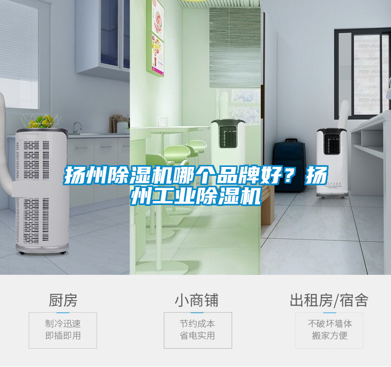 揚州除濕機哪個品牌好？揚州工業除濕機