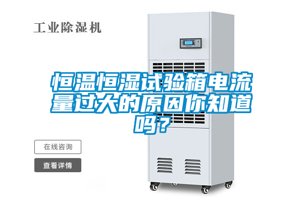 恒溫恒濕試驗箱電流量過大的原因你知道嗎？