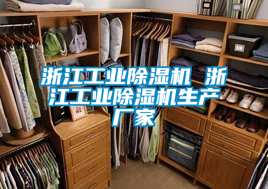 浙江工業(yè)除濕機 浙江工業(yè)除濕機生產(chǎn)廠家