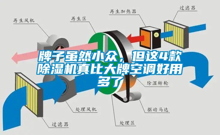 牌子雖然小眾，但這4款除濕機真比大牌空調好用多了