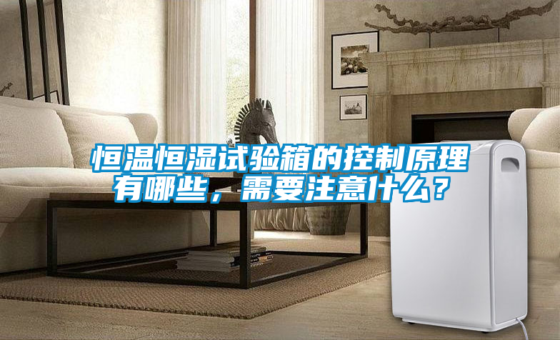 恒溫恒濕試驗(yàn)箱的控制原理有哪些，需要注意什么？