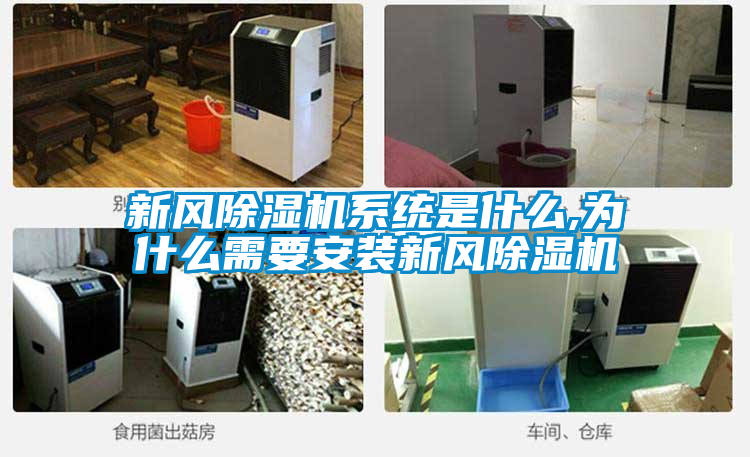 新風除濕機系統是什么,為什么需要安裝新風除濕機