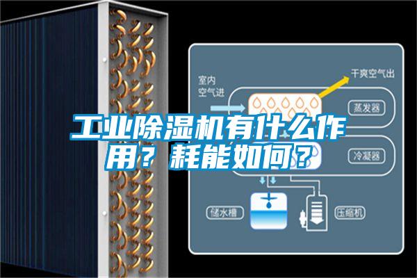 工業除濕機有什么作用？耗能如何？