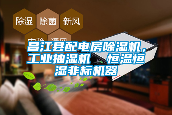 昌江縣配電房除濕機，工業(yè)抽濕機  恒溫恒濕非標機器