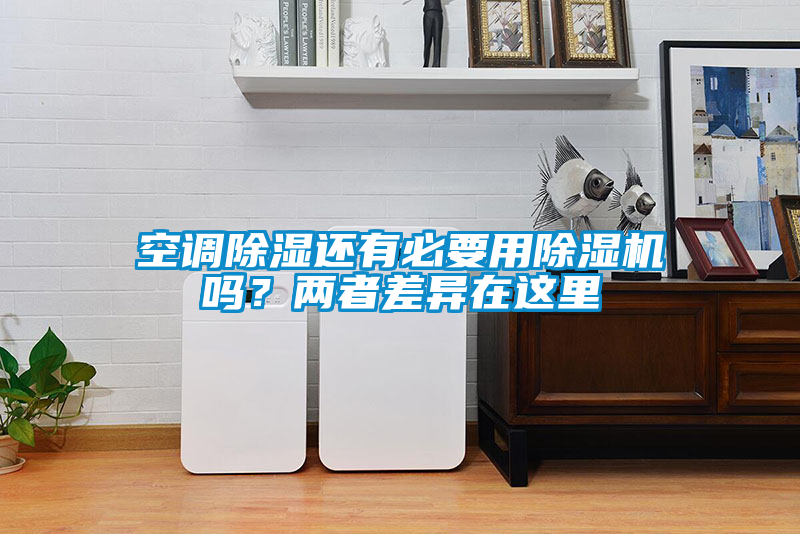 空調除濕還有必要用除濕機嗎？兩者差異在這里