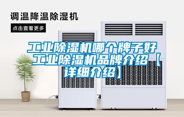 工業(yè)除濕機(jī)哪個(gè)牌子好 工業(yè)除濕機(jī)品牌介紹【詳細(xì)介紹】