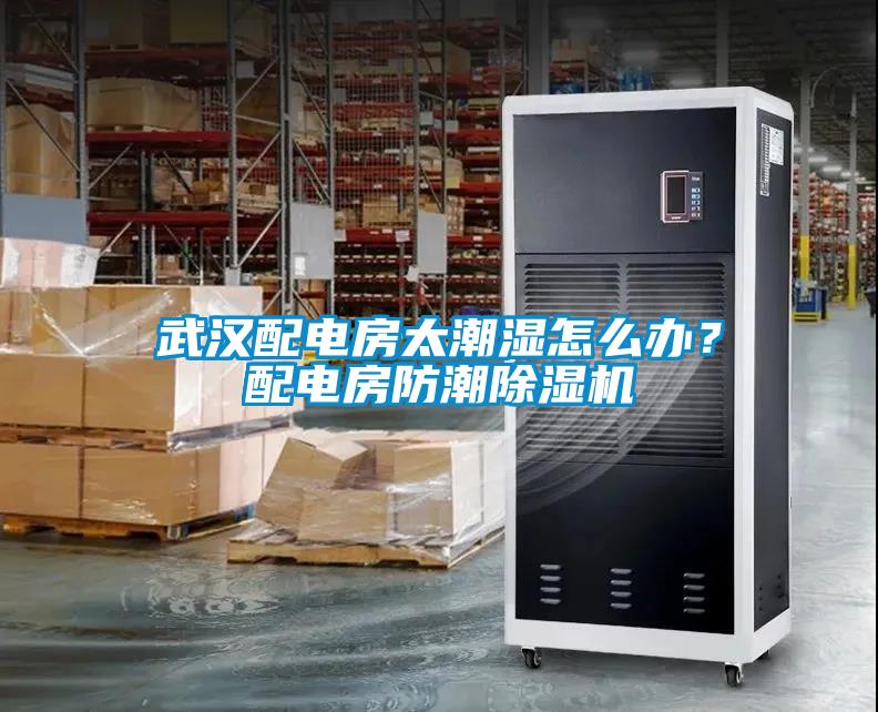 武漢配電房太潮濕怎么辦？配電房防潮除濕機(jī)