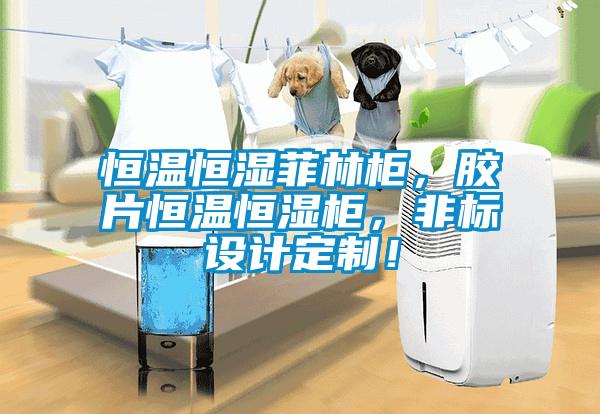 恒溫恒濕菲林柜，膠片恒溫恒濕柜，非標(biāo)設(shè)計(jì)定制！